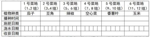 开展“五维一体”班级管理 促进学生德、智、体、美、劳全面发展