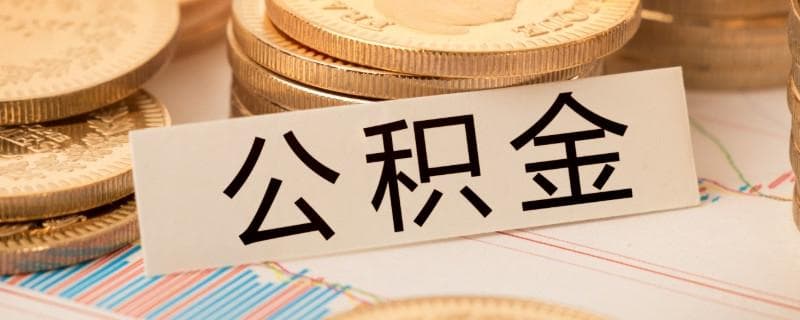 银行理财产品投资策略与技巧：专业解读与实战应用