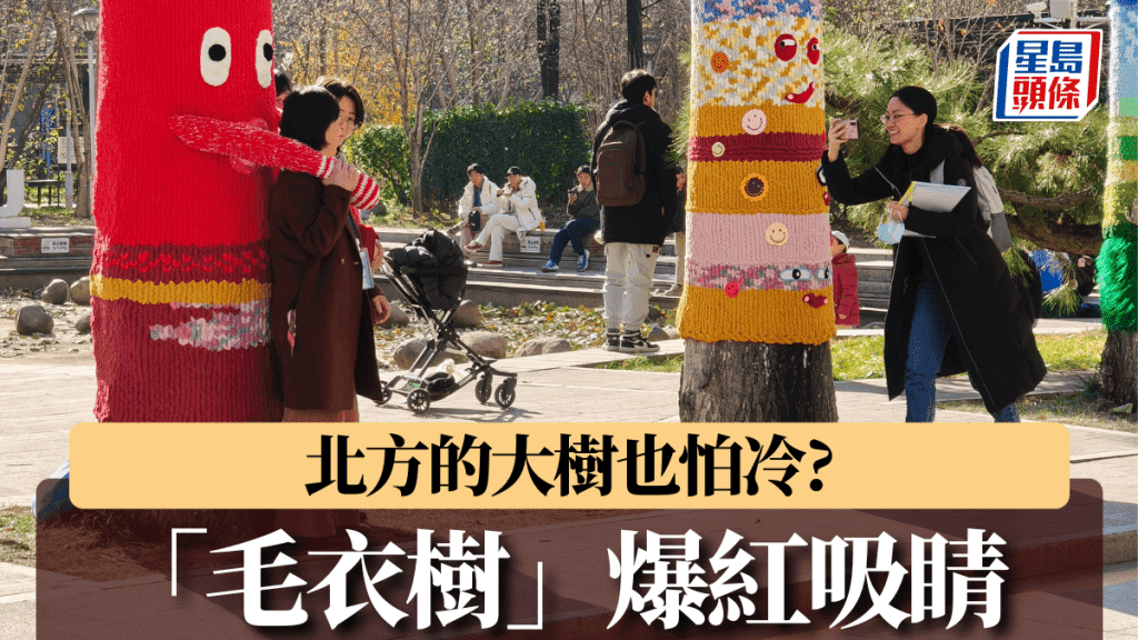 北京等地街頭「毛衣樹」爆紅　吸引網友拍照打卡