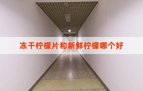 冻干柠檬片和新鲜柠檬哪个更好？全面对比解析