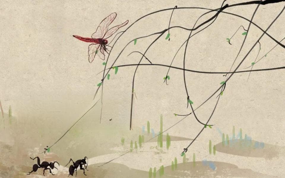【惊蛰|草原春雷动 万物启新章】