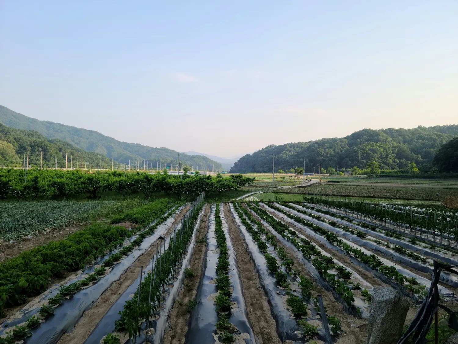 乡贤返乡创业正当时！多地出台新政支持，这些成功案例值得借鉴