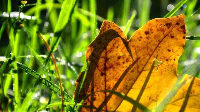 花露水保质期多久 花露水过期了还能用吗