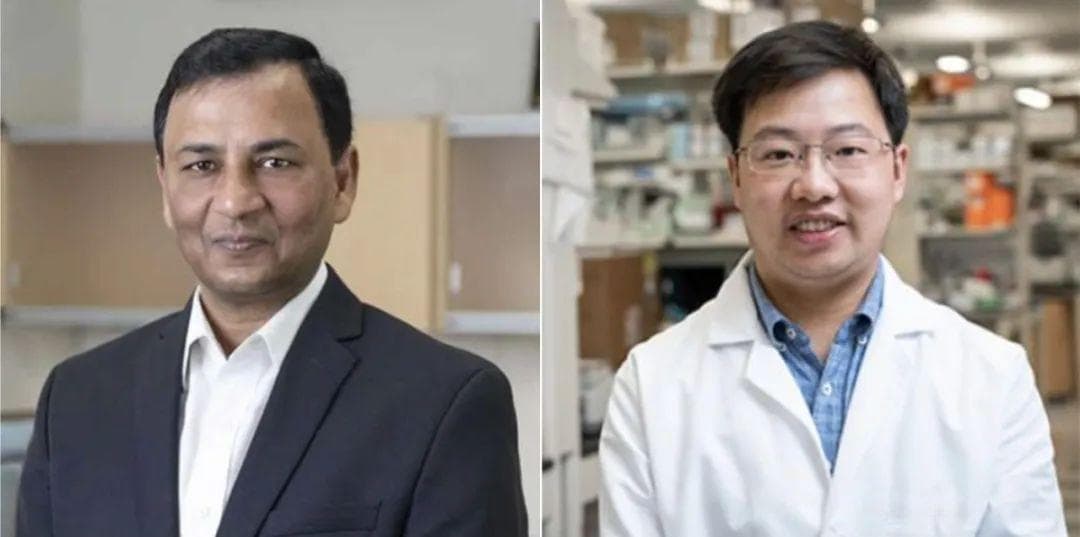 AACR速报：基于外泌体的液体活检，实现胰腺癌的精准早期检测