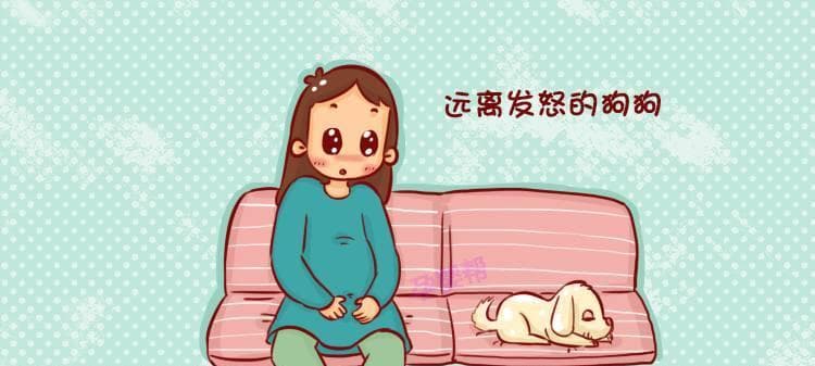 怎样处理狗咬出血的伤口？（为主人提供的六个应对方法）