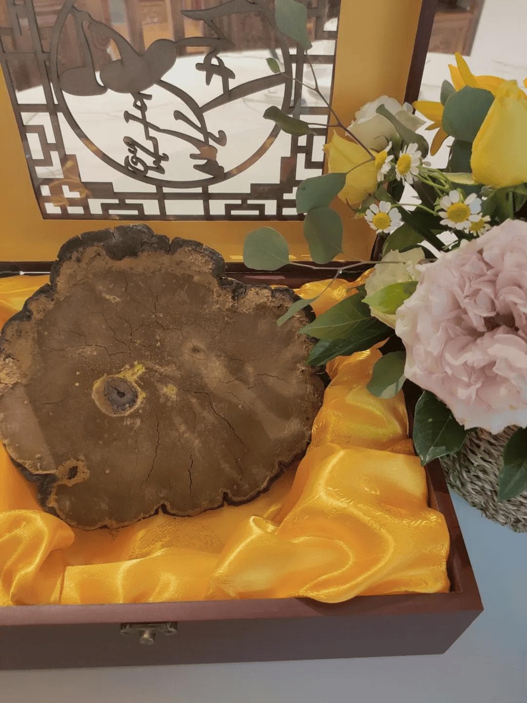降糖降脂效果好，桑黄这样搭配功效更佳