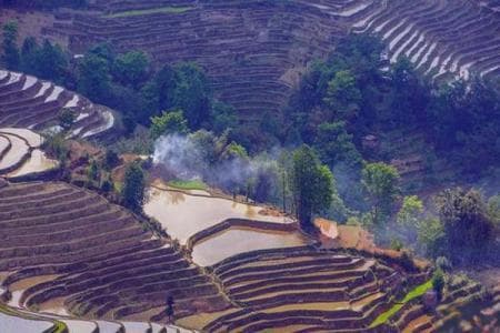 云南元阳哈尼梯田：千年的山岭雕刻，四素同构的生态奇观