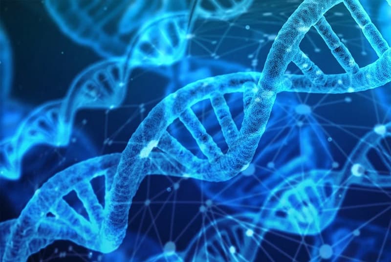 深入解析：脑血管病的分子机制及其对治疗策略的影响