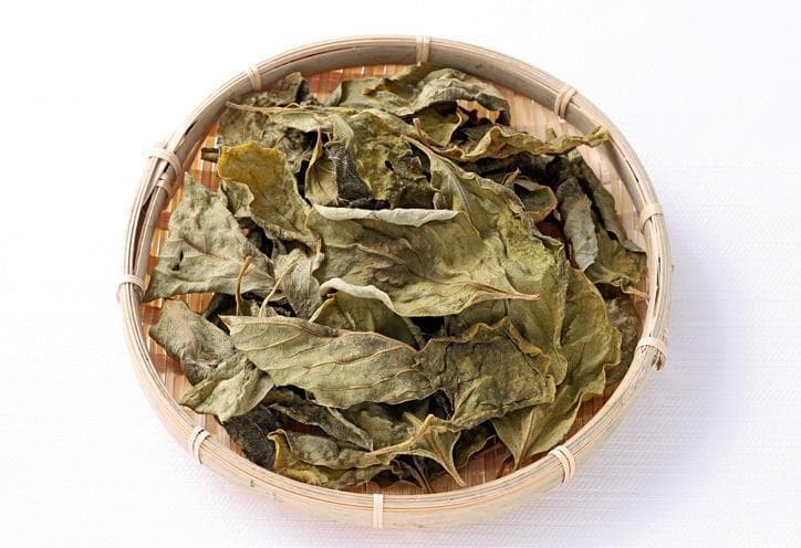 柿子叶煮水后当茶喝，可以降血压吗？