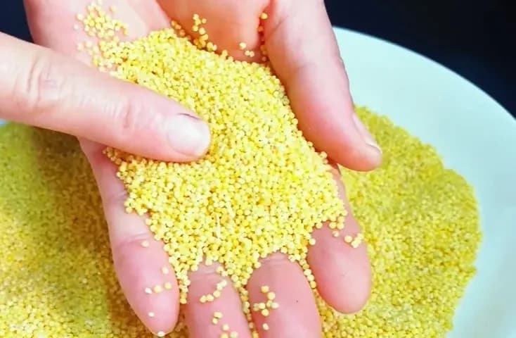 熬小米粥时，别直接下锅煮，难怪熬不出米油，教你正确方法，养胃又好喝