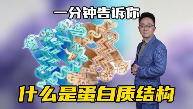 一分钟告诉你 什么是蛋白质结构