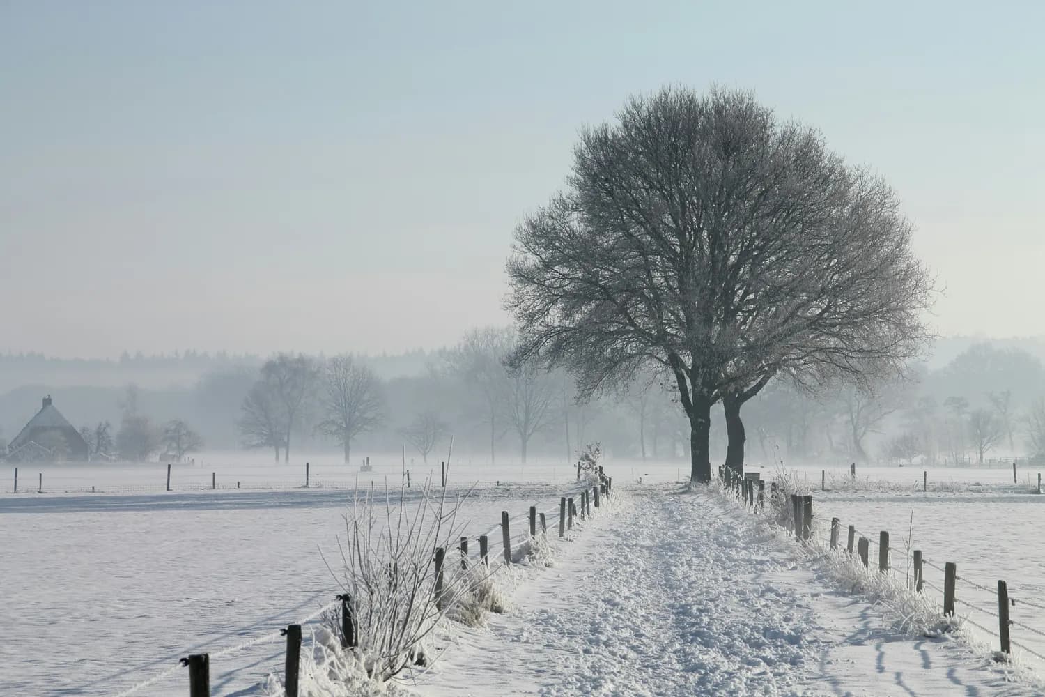 清晨和黄昏，拍雪景的最佳时刻