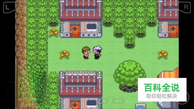 《口袋妖怪漆黑的魅影》潜水术获得攻略