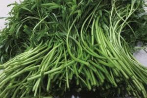 芦蒿：一种兼具药用与食用价值的野生植物