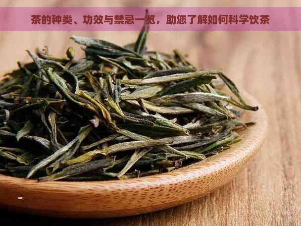 茶的种类、功效与禁忌一览，助您了解如何科学饮茶