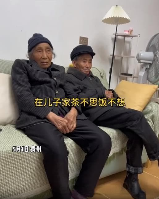 贵州：爷爷奶奶回村前后判若两人，在城里无精打采回农村生龙活虎