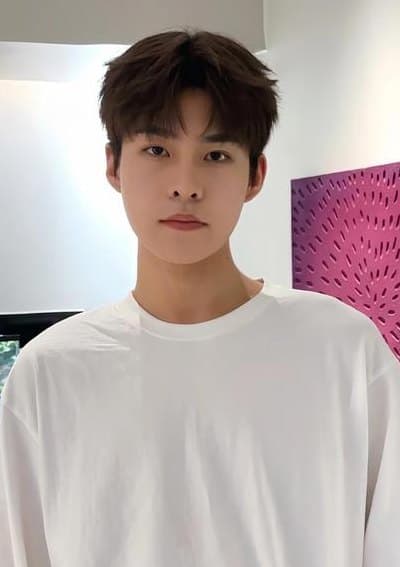 中分发型男怎么吹（男生中分吹发）