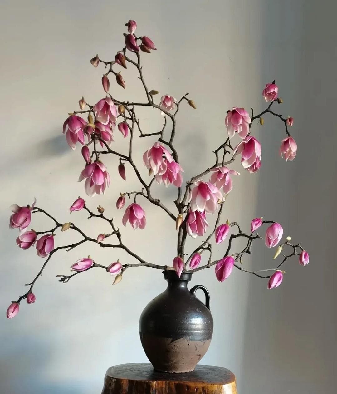 客厅地方再小，“这3种花”过年也要养，好处真多