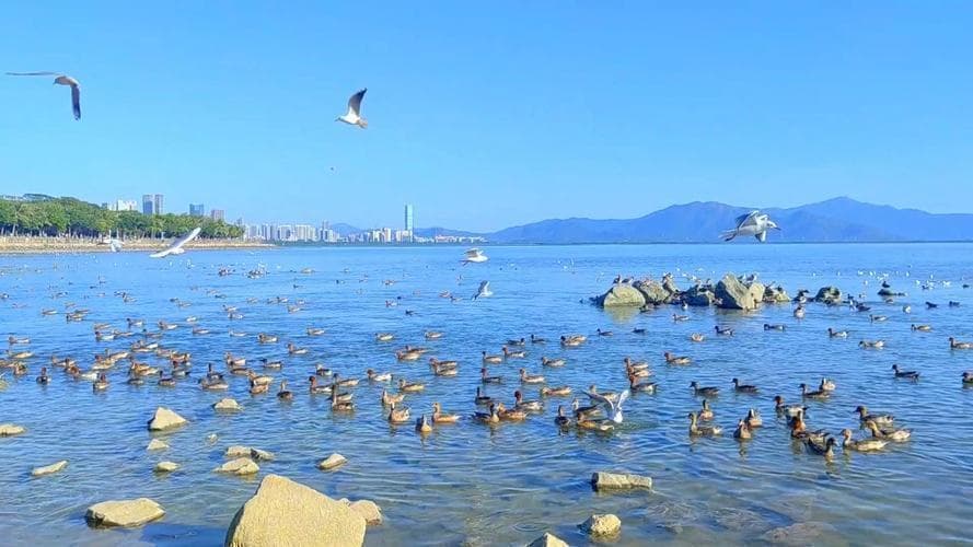 深圳旅游攻略景点大全，深圳旅游必去十大景点有哪些？看这里！