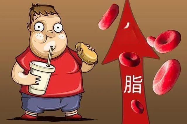 长期血脂过高，对身体有哪些危害？如何应对？有哪些注意事项？