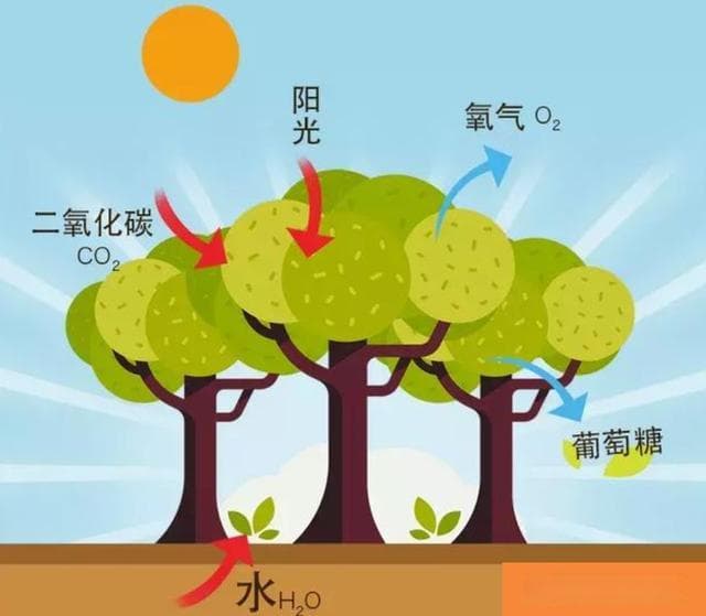 太阳表面接近6000度能把地球晒热，为何太空却接近绝对零度？