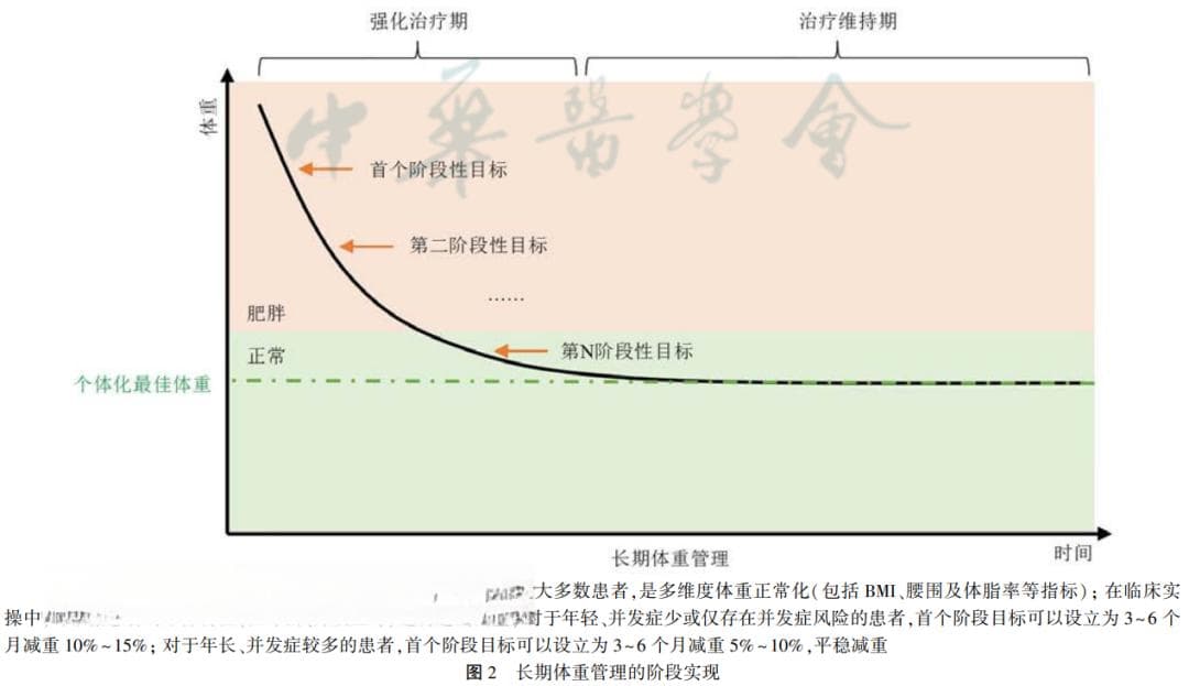 解读《肥胖患者的长期体重管理及药物临床应用指南(2024版)》