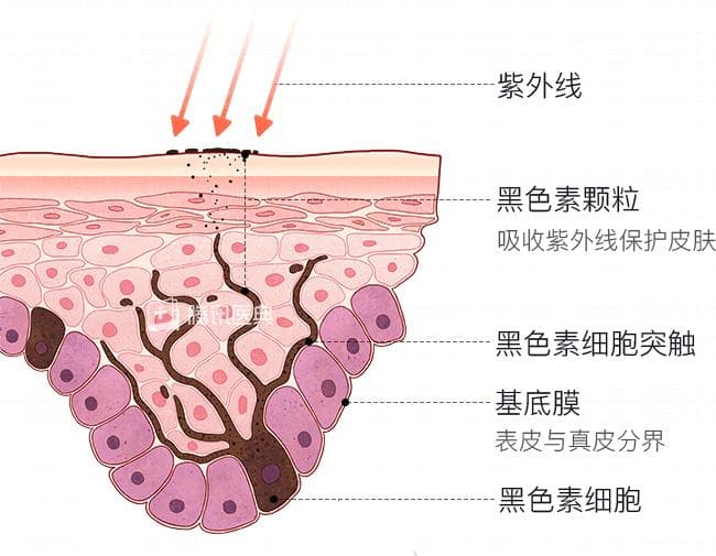 晒黑后白不回来？可能是你没做这8件事