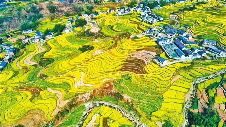 陕西汉阴凤堰梯田成功入选世界灌溉工程遗产名录