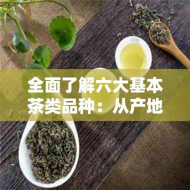 全面了解六大基本茶类品种：从产地、制作工艺到口感特点的详细解析