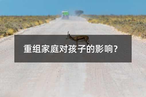 重组家庭对孩子影响大？专家支招：4个实用方法助力孩子成长