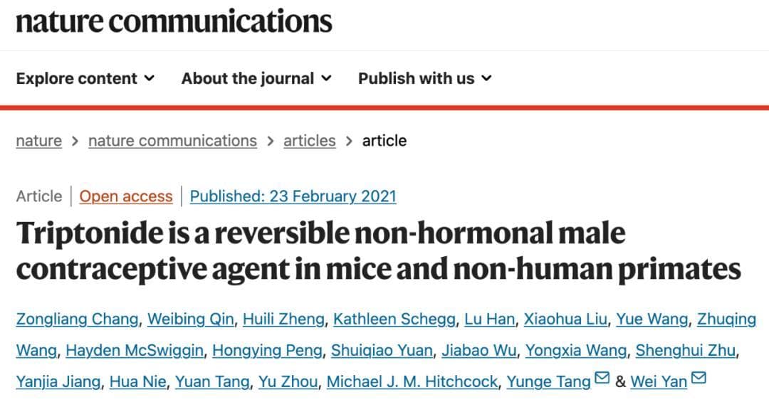 PNAS：男性避孕药新突破，非激素，且安全可逆