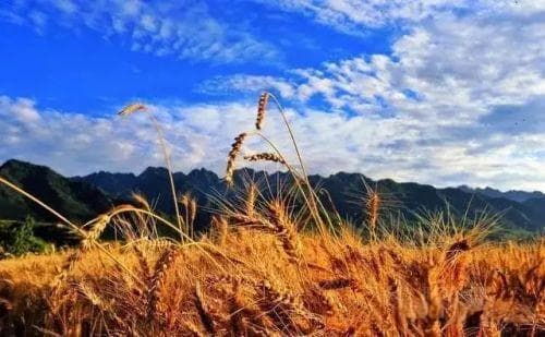 你是北方人还是南方人?跨越南北分界带的七大省份
