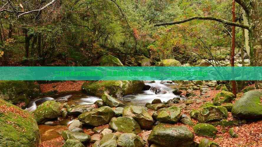 二月泸沽湖：冬日仙境里的纯净之美