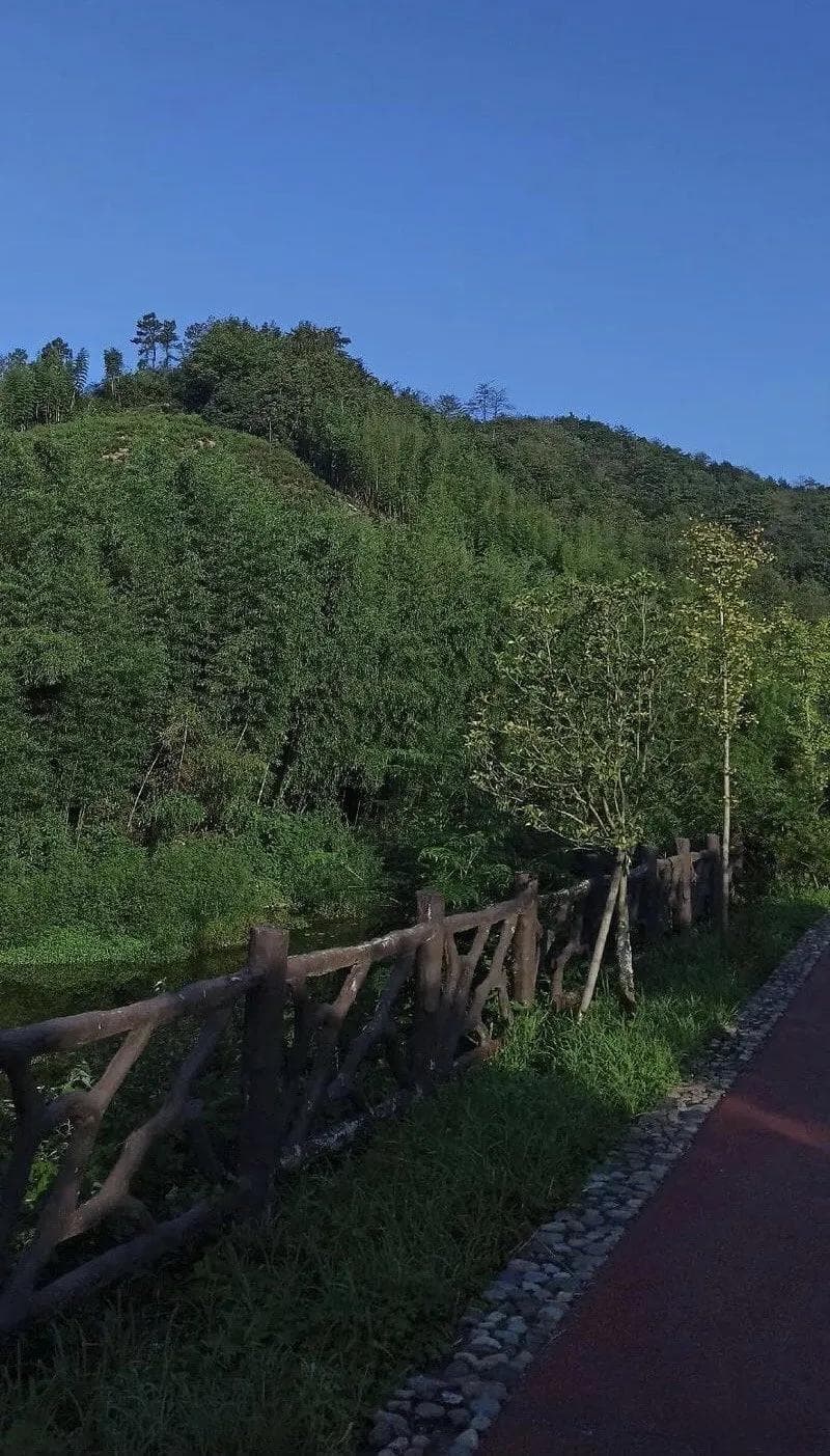 意料之外：探索未知领域的科学发现