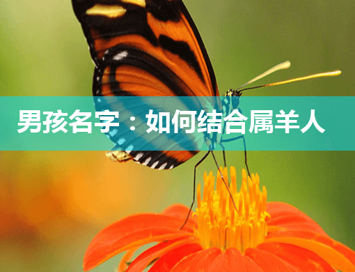 男孩名字：如何结合属羊人性格与八字起名