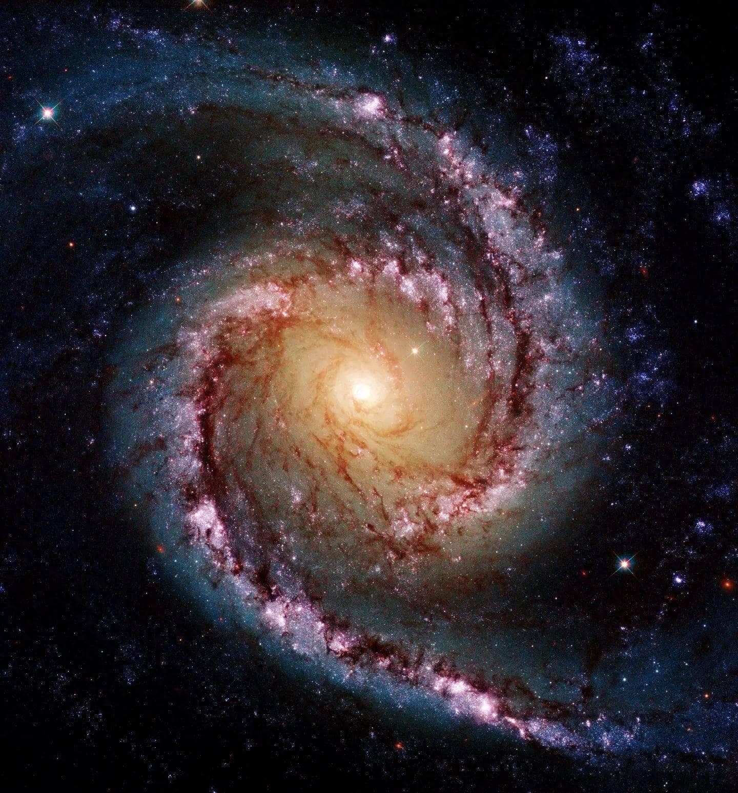 作为宇宙第一批星系，银河系内真的只有人类吗？