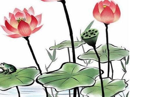 九九归一与生肖：传统文化中的神秘联系