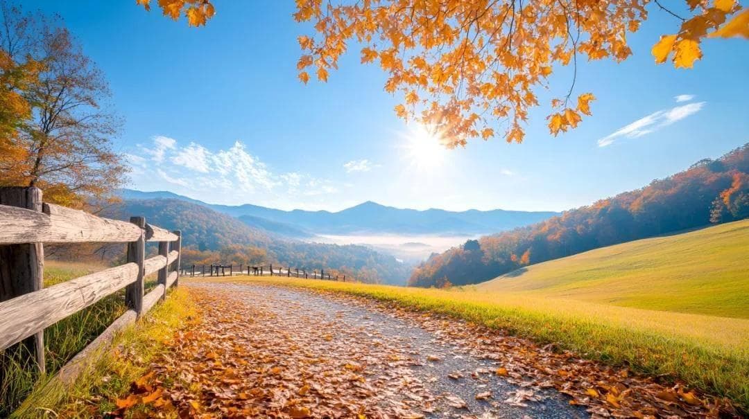 2024旅游新趋势：平替旅游如何改变年轻人的出行选择？