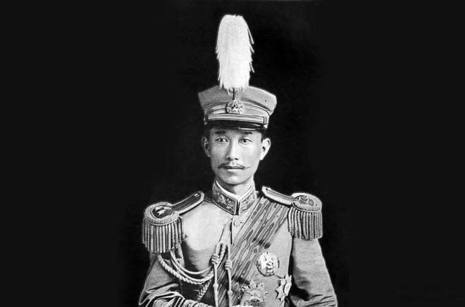 “护国将军”蔡锷34岁英年早逝，享受国葬，其后代现状如何？