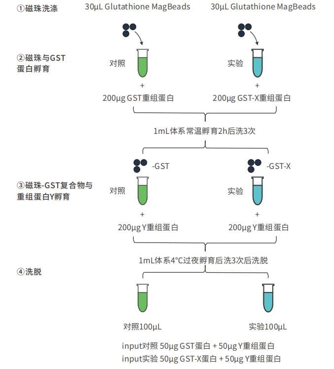 【干货】全方位解析GST Pull-down实验