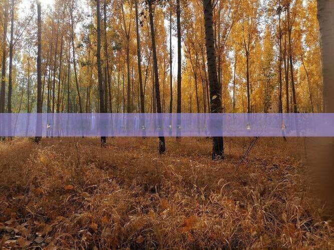 海南与云南旅游攻略对比：全面解析两地特色玩法与必备攻略