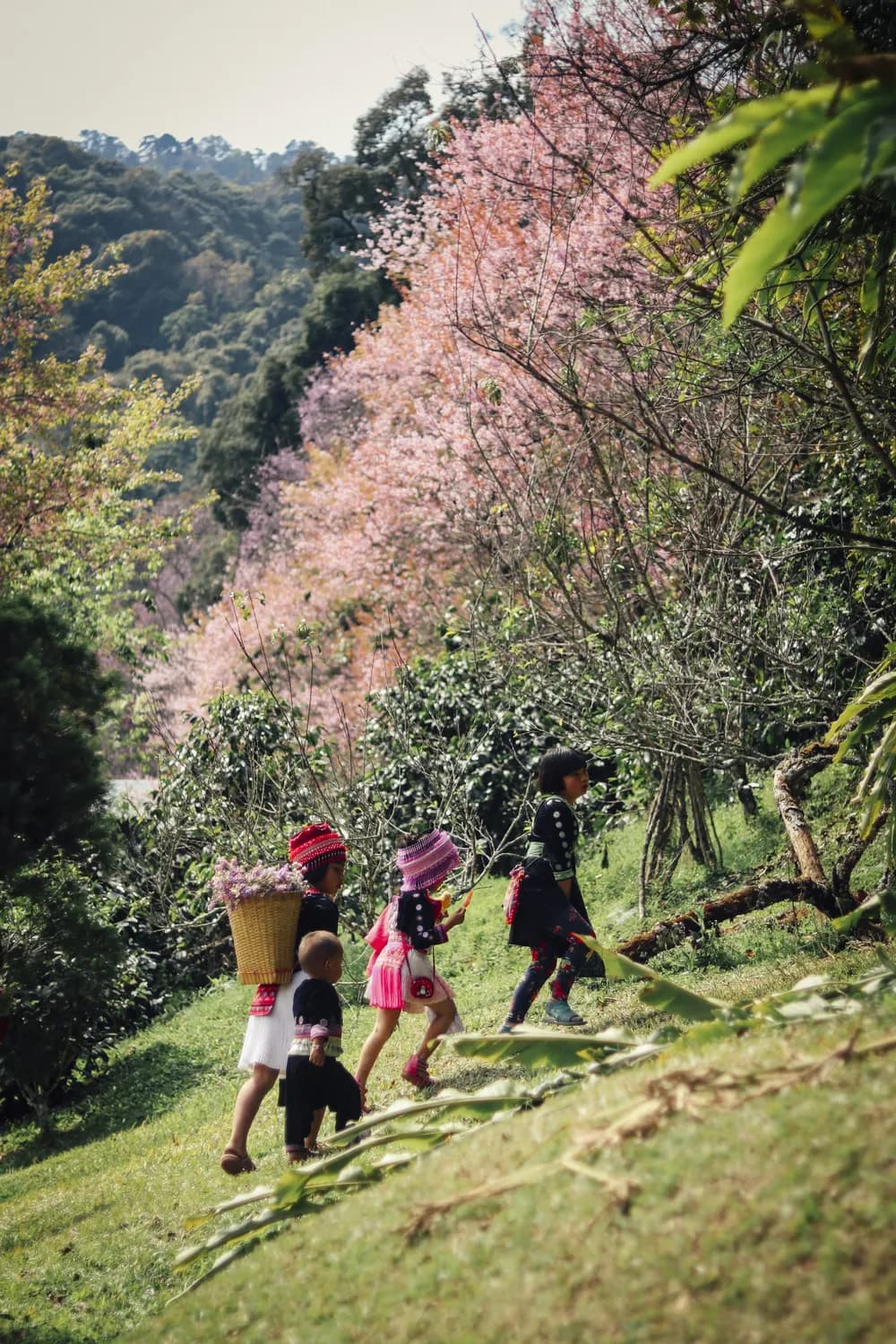 九峰山春季打卡攻略：赏花、登山、体验自然的完美选择