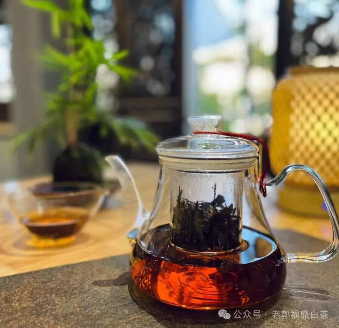 秋冬养生 | 喝老白茶原来好处这么多！（建议收藏）
