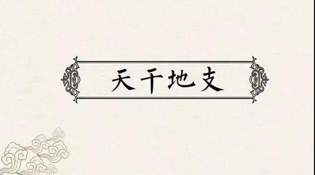 最全的干支五行对应脏腑关系
