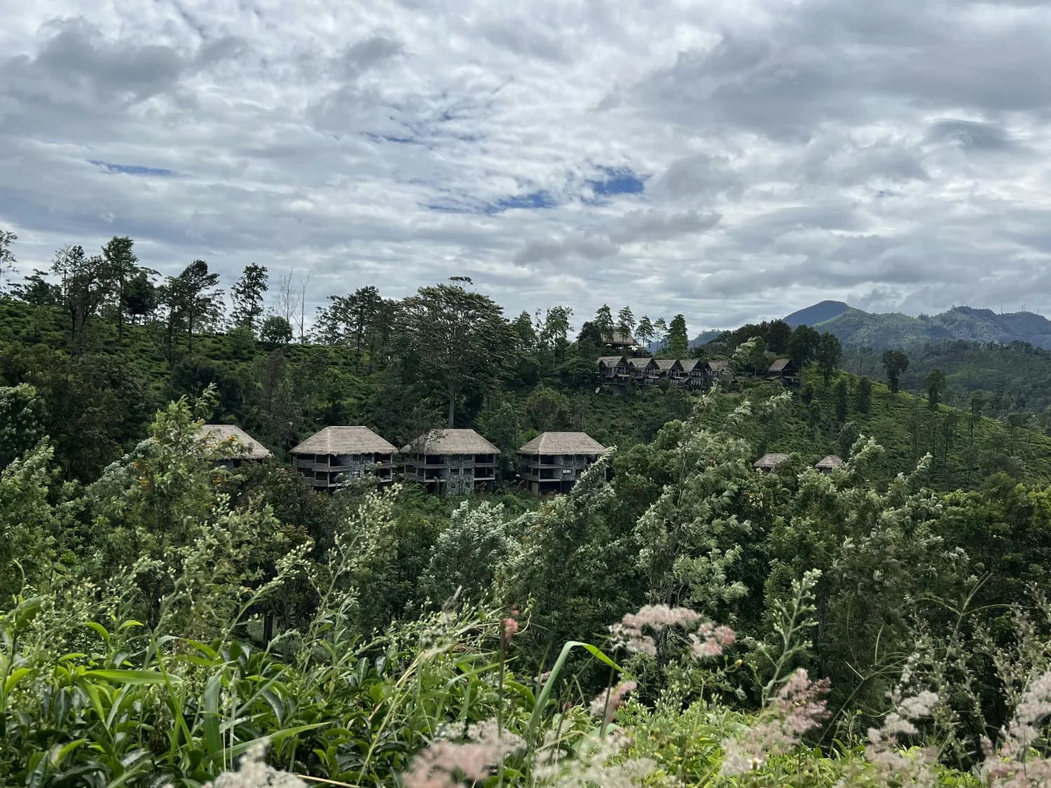 三亚亚龙湾热带天堂森林公园：住在树屋里，玩转雨林与海岸