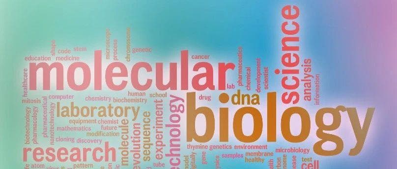 iGEM生物竞赛超全科普：全球最具影响力的学术竞赛，助力留学申请