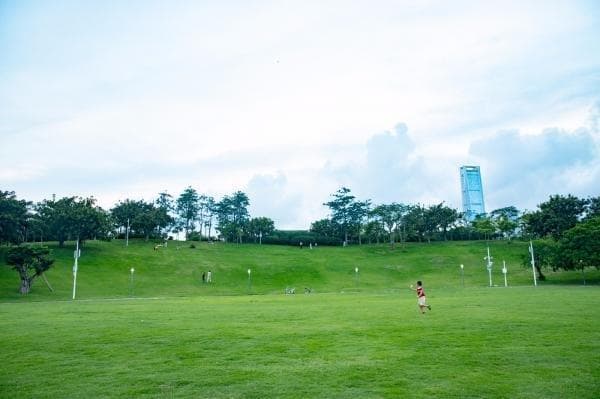 深圳湾公园日出剧场：观赏日出的绝佳地点及交通指南