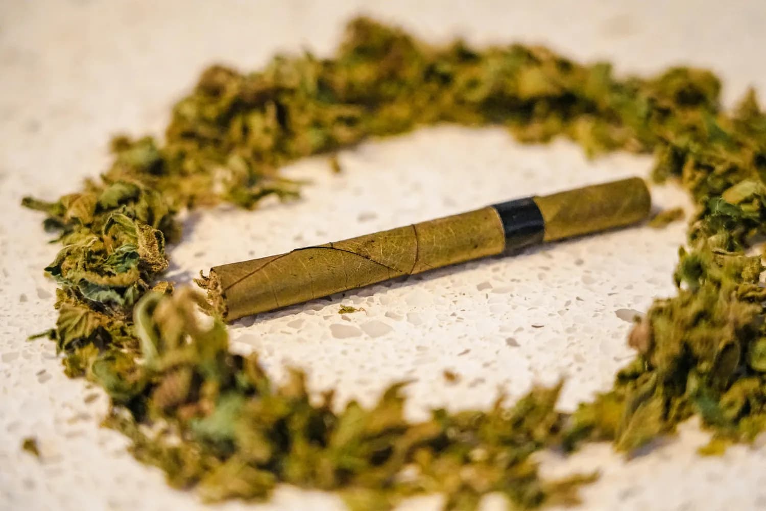 秦岭烟叶遇上手卷烟：一份独特的DIY体验