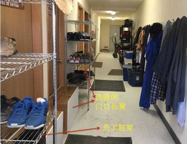 面对非洲猪瘟，养猪人如何自救？生物安全防控指南