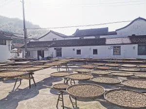 绍兴梅干菜，统一标准！